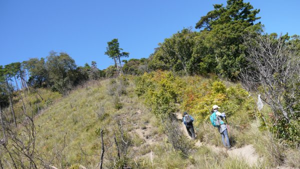 馬武佐野郡山登山健行趣(中級山)1508751