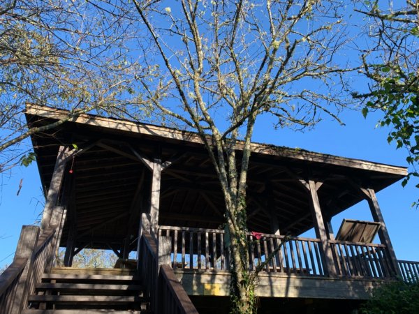 大凍山（小百岳）1117307