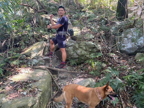 八仙山.東松鶴山【拚老命完成一年一雄的夢想】2357728