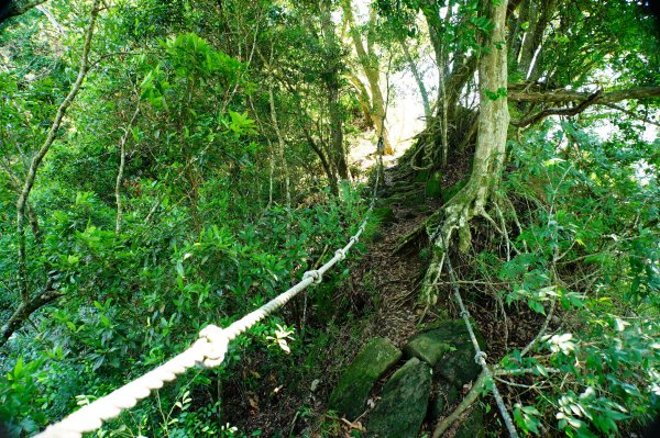 苗栗 卓蘭 大克山3078126
