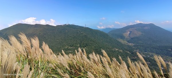 大屯山&小觀音山西峰差強人意的雲海/夕陽晚霞/芒花2337346