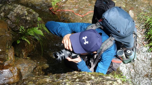 雙龍林道上巒安堂西巒大山1778723