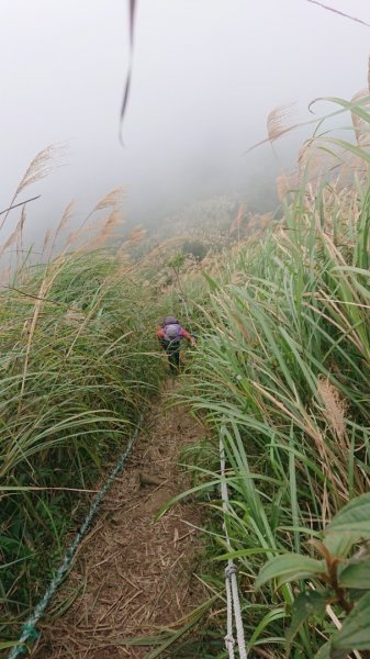 雪山尾稜全段二刷2380134