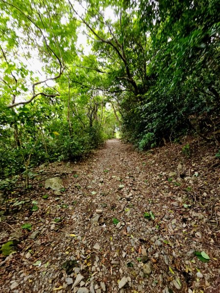 加奈美山-小百岳#95-台東縣大武鄉2776996