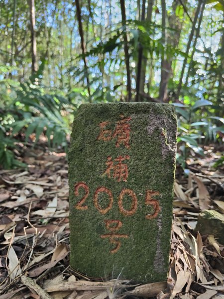 2024.02.17 關西金山2845310