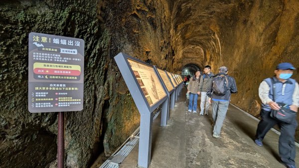 114.12.20劉銘傳隧道-獅球嶺北峰-獅球嶺東砲台山-獅球嶺池-獅球嶺砲台山之旅2966685