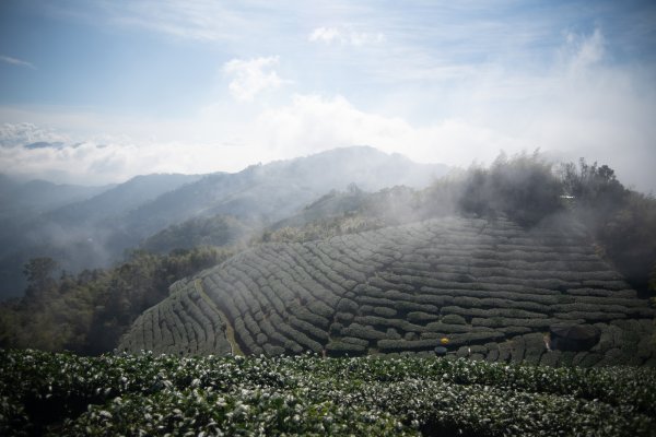 雲嘉七連峰 2025年12月2968925