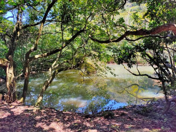 大屯山泥巴滑溜溜914398