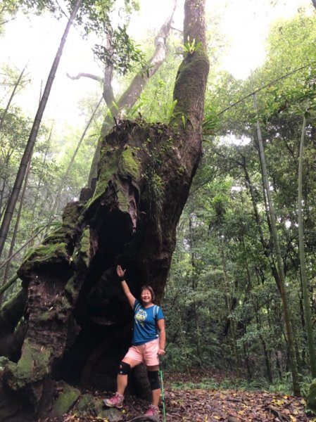 嘉南雲峰、石壁山有著讓人嚇到哭的螞蝗現身596813