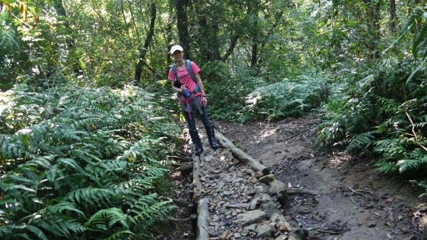 松蘿湖單攻登山健行趣（步道）1522169