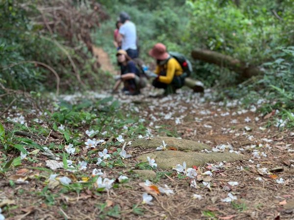 三員縱走 三角山-員屯山2767475
