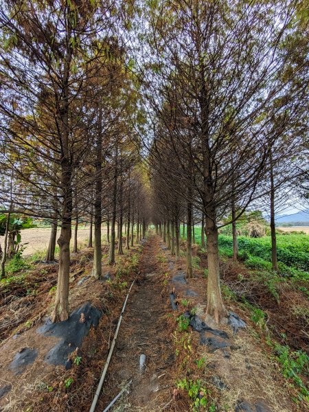 農禪寺,普濟寺2407049