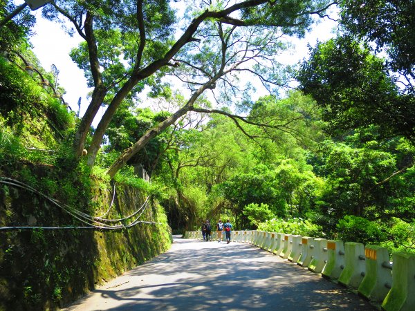 搭著捷運去旅行-白石湖賞花輕旅行610447