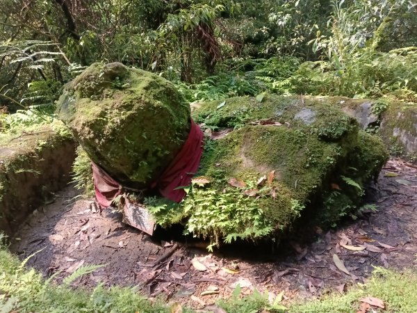 平溪區大華車站-乾坑古道石龜將軍-平湖西步道-番子坑山-平湖大厝-十分車站