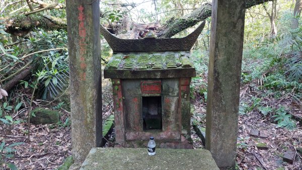 蛇來運轉之蛇年爬蛇山  蛇子形古道-三爪子坑山-蛇子崙山O型2783962