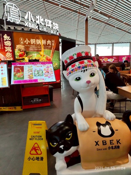 北京首都機場飛回臺灣桃園國際機場2842390