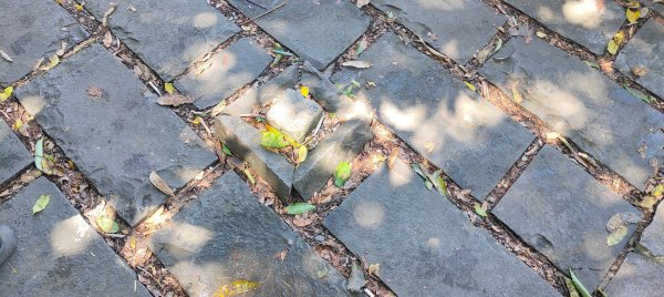 台北四獸山2804893