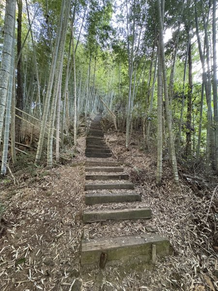 20251221嘉南雲峰、石壁山登山步道2968087