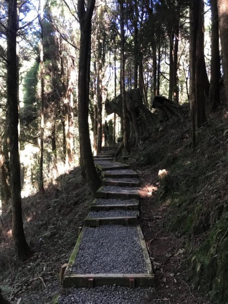 阿里山雙峰大塔山對高岳連走451421