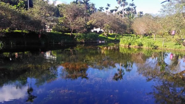 2018 12/2 拉索埃湧泉879493