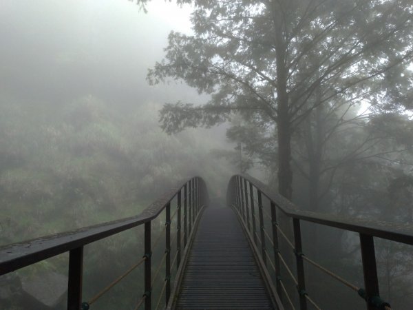 宜蘭太平山見晴懷古步道708324