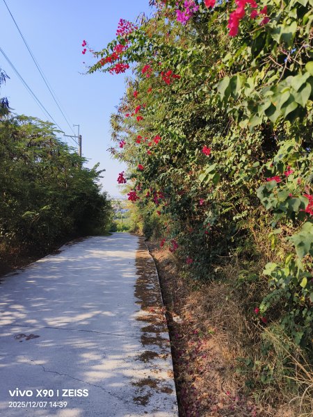 小崗山2025-12-072957826