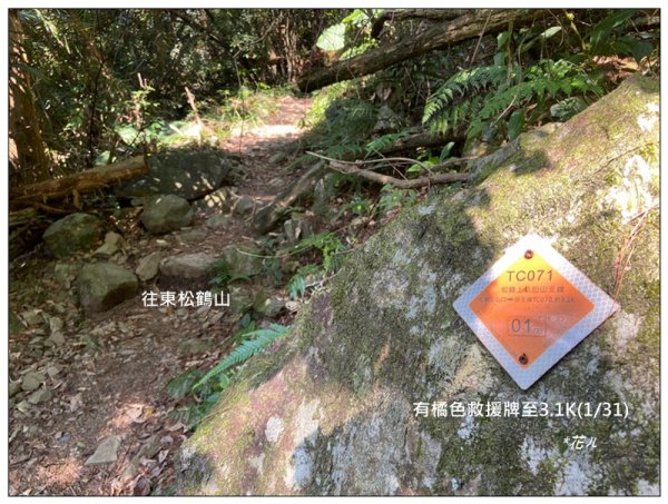 東松鶴山～八仙山 (台中 和平)2940423