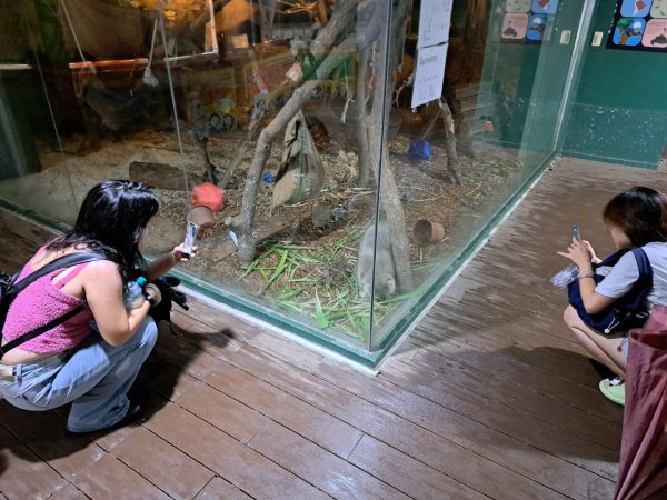 2026動物園祖父母節活動（夜間限定版）3111334