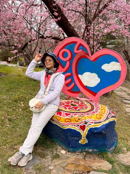 🌈2026.02.14+17武陵櫻花季✨FB：熊熊趴爬走🌈3004311