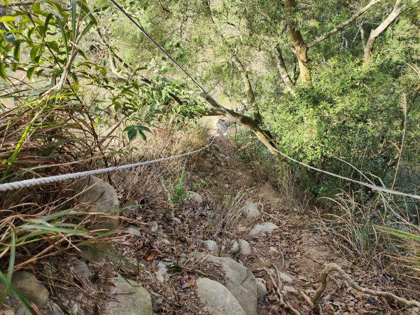 20230416大坑步道2~5+石苓湖山2175623