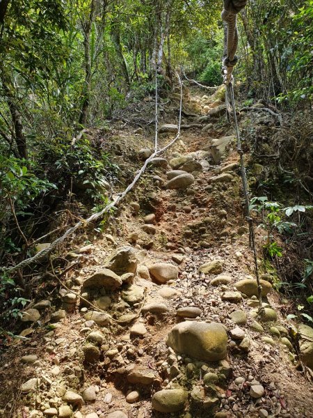 鳶嘴山，醜崠山，長壽山，榛山步道，三員縱走，文林古道，高梘頭山，糖塔山，鐘樓古道1691612