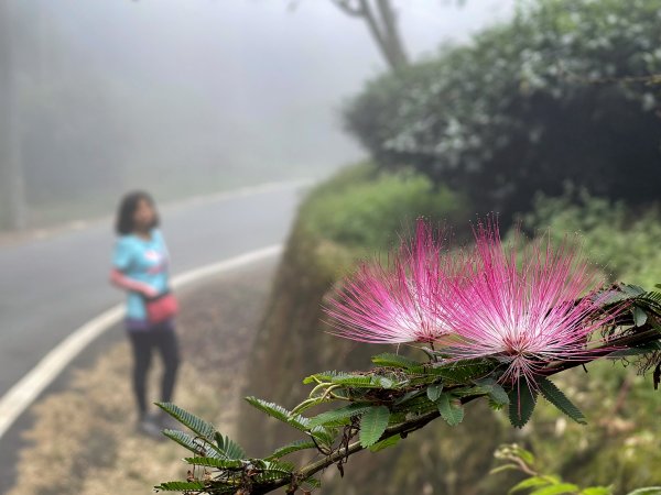 嘉南雲峰石壁山 順遊 雲嶺之丘 202210151889790