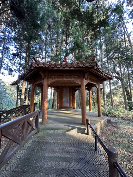 阿里山園區巨木群步道繞一圈2420739