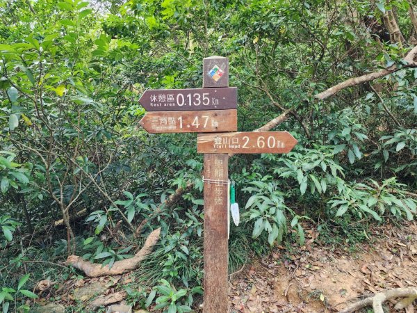 小百岳No.80⛰里龍山2776341