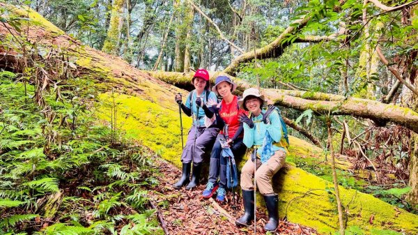 🌈9/7（日）夫拉縱走（夫婦山縱走拉拉山）✨FB：熊熊趴爬走🌈2880927