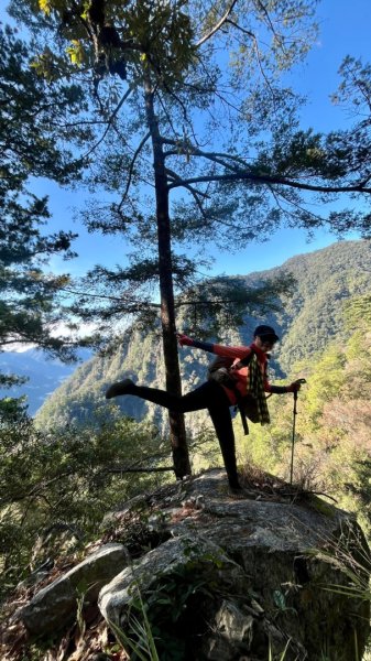 【谷關七雄】波津加(H1771.6m)肉腳配速成功2670562