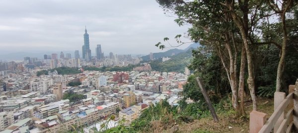 福州山公園3002489