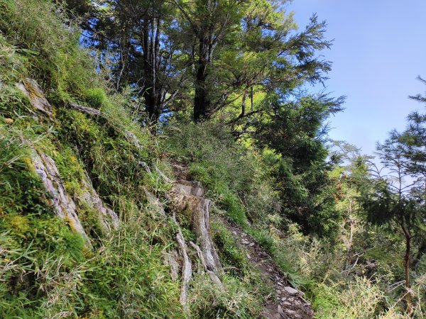 北一段(03/14)多加屯山 2025_0906~132885262