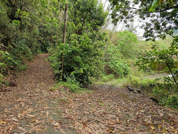 西阿里關山-小百岳#66-高雄市甲仙區2749987