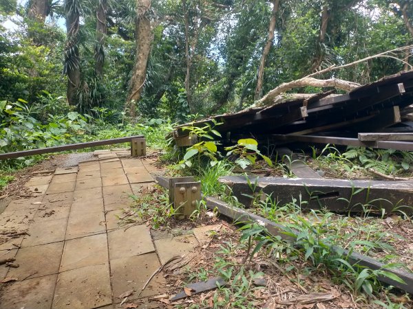 百大步道：蘭嶼大天池步道2804479