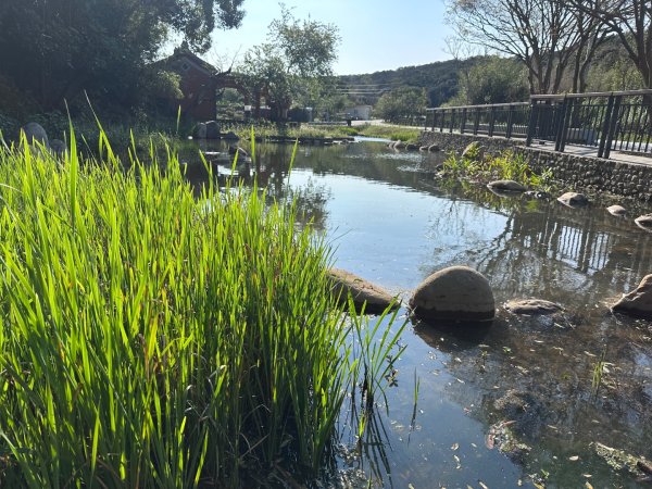 新竹湖口-畚箕窩溪濱水步道2717719