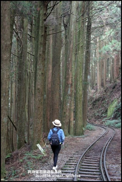 消失的阿里山眠月線802000