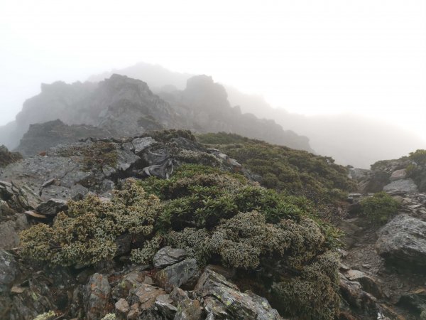 玉山東峰1533214