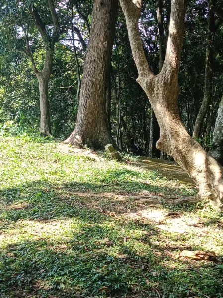 國姓「鋤頭盤山」山字森林三角點3131508