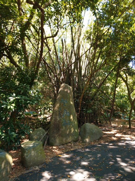 松柏嶺O形2908128