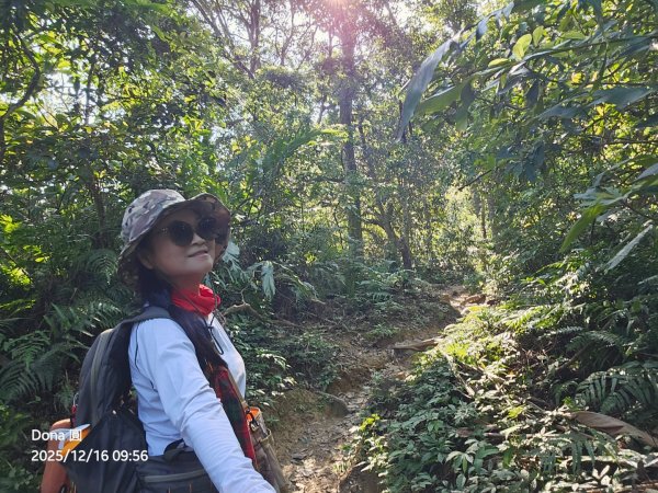 20251216太平山石門山小粗坑山O型+蕃薯藤TINA廚房2972561