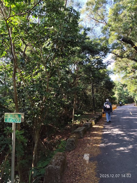 【臺北大縱走 5】碧山巖→忠勇山越嶺步道→金龍產業道路→圓明寺步道→鄭成功廟→潛園→格物台→劍潭古寺2958973