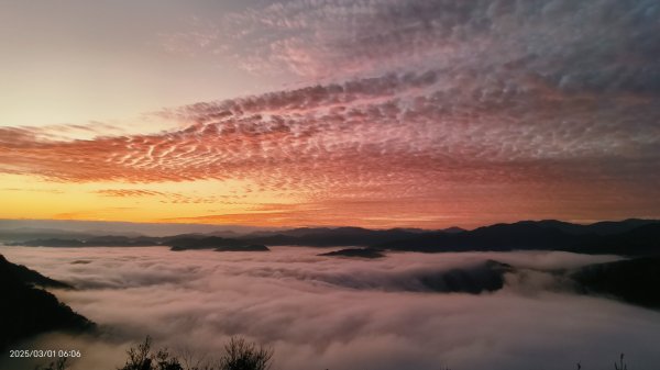 翡翠水庫壩頂 #曙光 #日出 #火燒雲 #斜射光(上帝光) #雲海 3/12722446