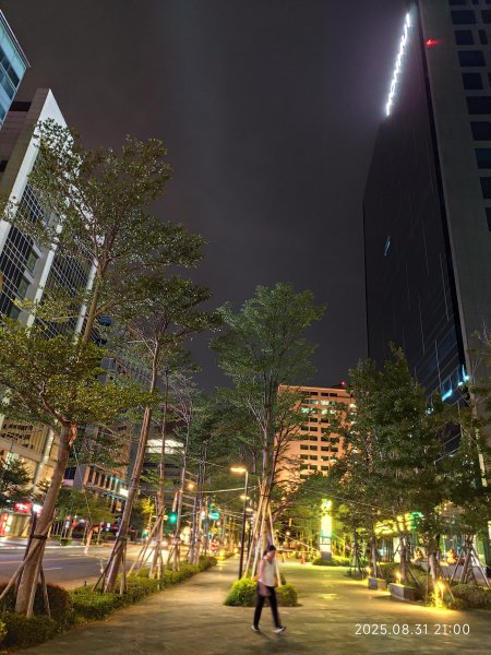 劍潭公園、八二三砲戰紀念公園【臺北健走趣】2878755