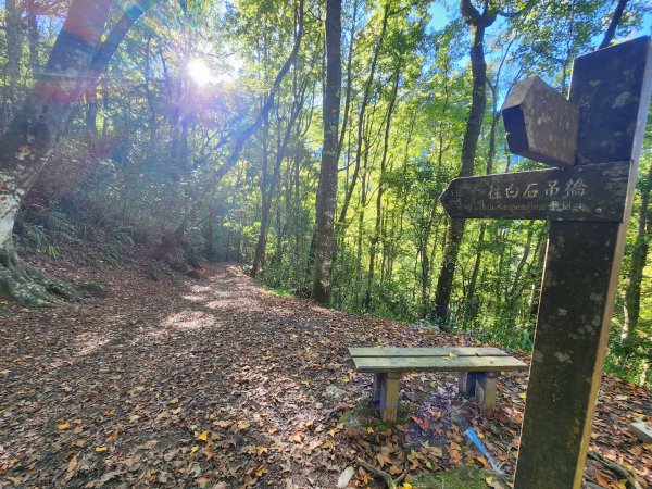 20241124布奴加里山2679108